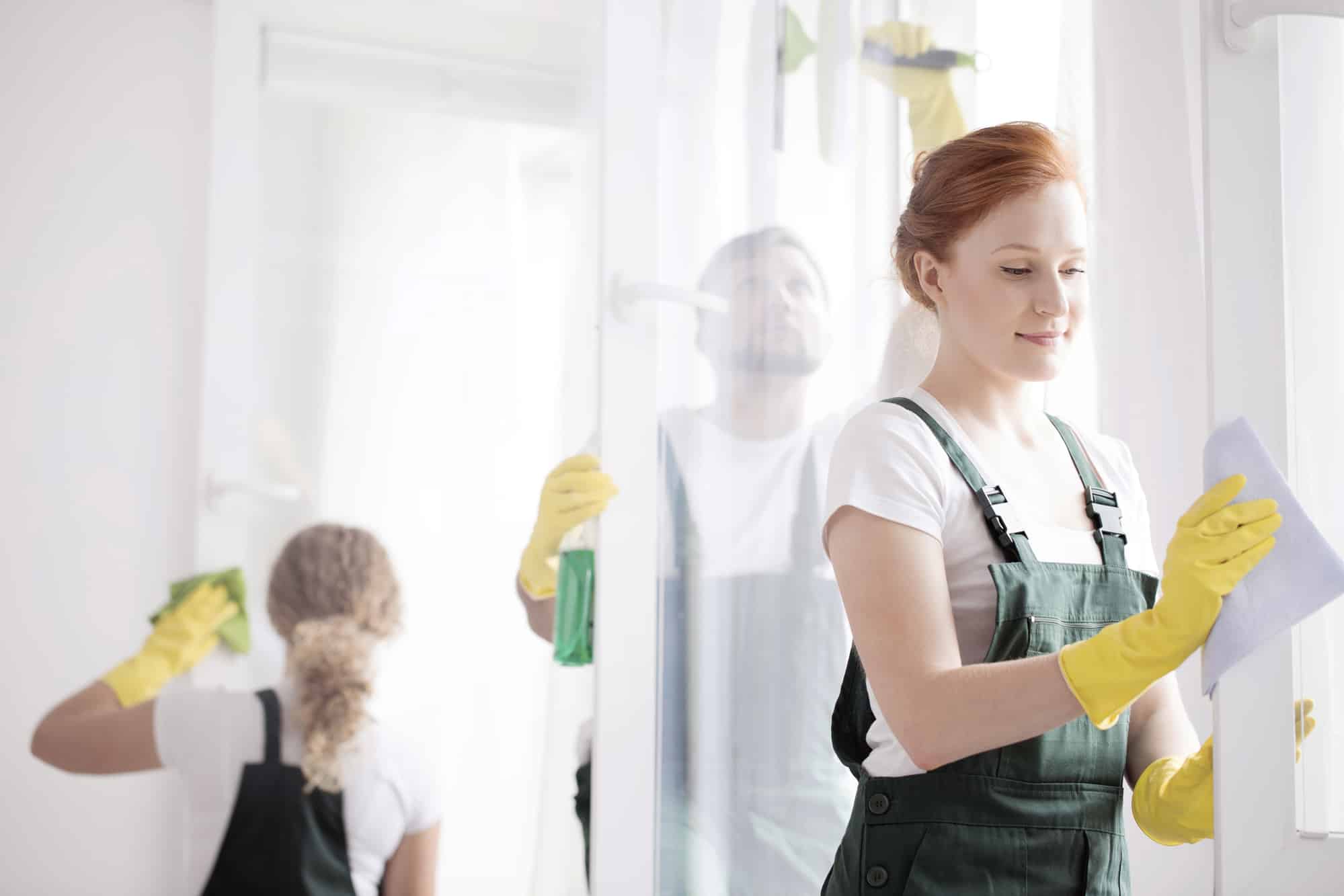 Woman Cleaning Window Frame